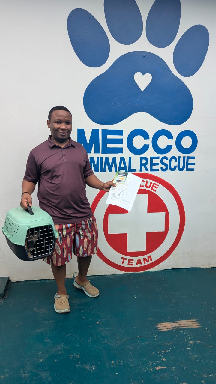 people who adopt animal(cat) to our shelter