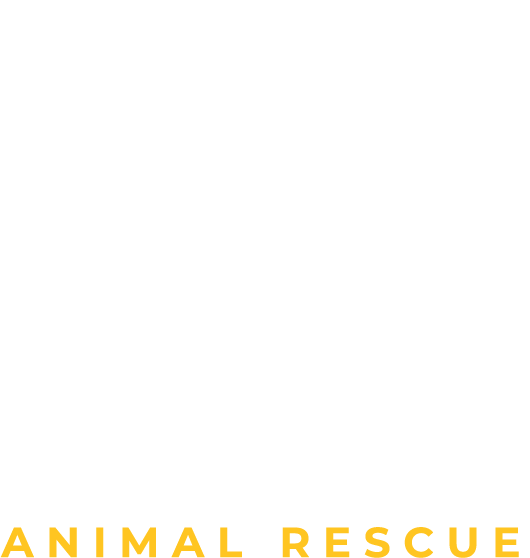 Mecco Animal Rescue